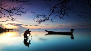 Practical Photography For Absolute Beginners: 9 Courses In 1
