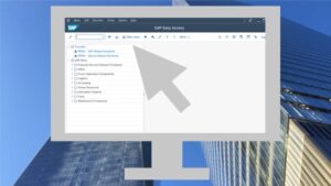 Sap Basics : Introduction And Navigation