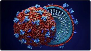 Study Of Virology