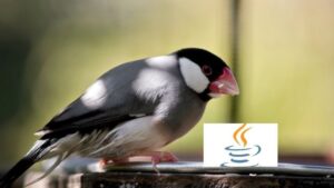 Java and OOP concepts for quick interview prep.