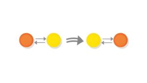 Mastering Category Theory: Foundations to Advanced Topics