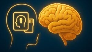 Memory Mastery Blueprint: Complete Brain Training Program