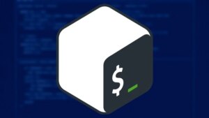Mastering Bash Shell Scripting | Developers and Linux users