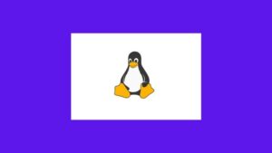 Linux Foundation LFCA Certification – 650 Practice Questions