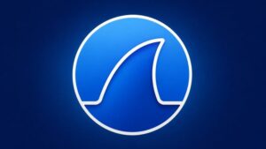 Threat Hunting with Wireshark: Network Analysis & Security